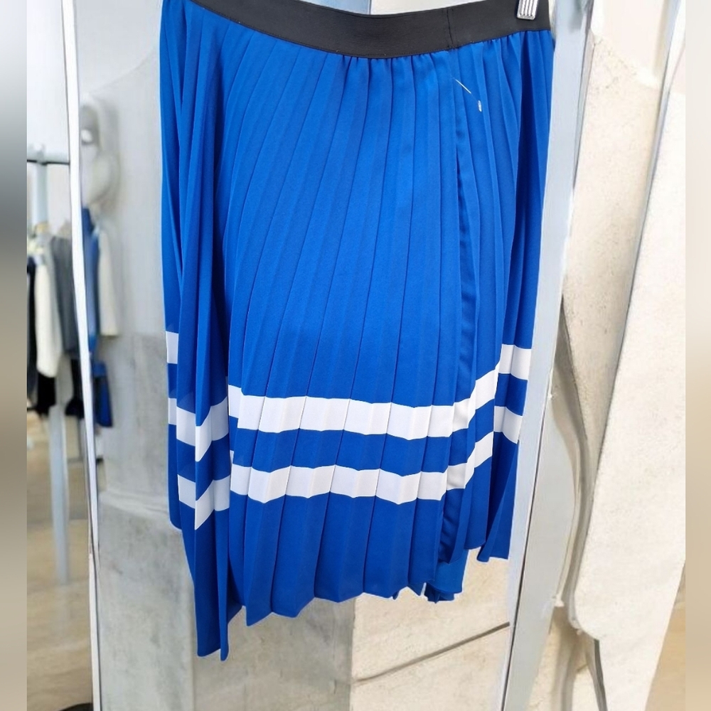 Zara Basic Black and Blue Skirt